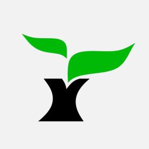 广东雨林木风计算机科技有限公司